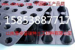 邛崃塑料排水板生产厂家解析 产品优势与选购指南